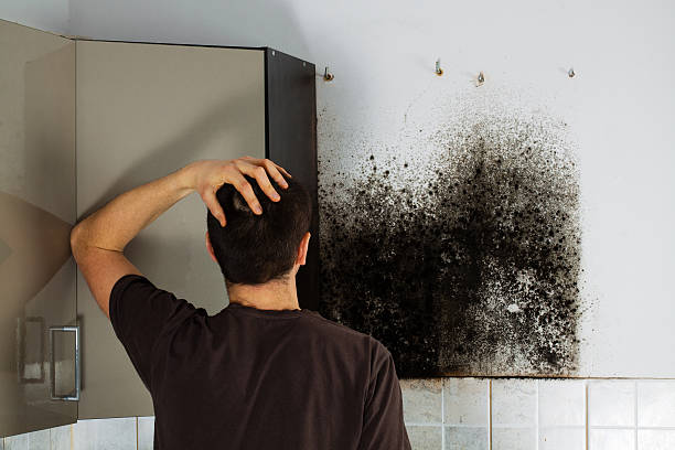 Best Home Mold Removal  in Dunn, NC
